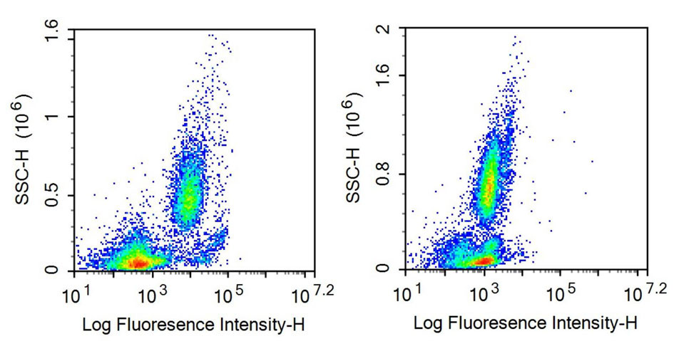 Recombinant Antibody to Cluster Of Differentiation 33 (CD33)