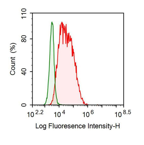 Recombinant Antibody to Mucin 1 (MUC1)