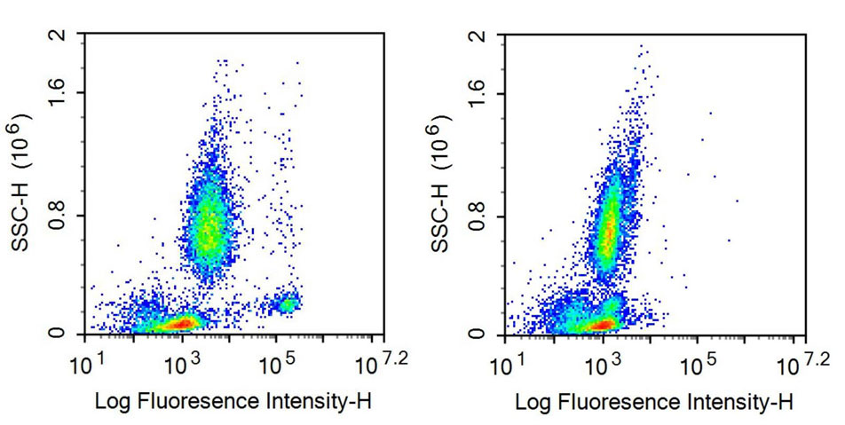 Recombinant Antibody to Cluster Of Differentiation 14 (CD14)