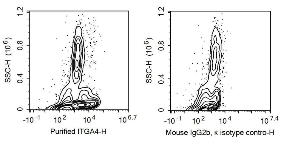Recombinant Antibody to Integrin Alpha 4 (ITGa4)