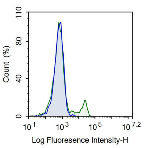 Recombinant Antibody to Cluster Of Differentiation 146 (CD146)