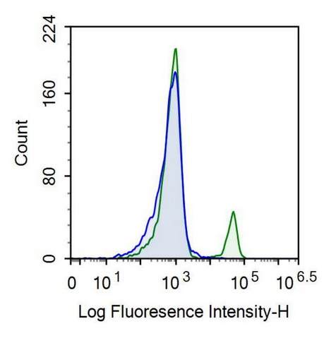 Recombinant Antibody to Cluster Of Differentiation 19 (CD19)