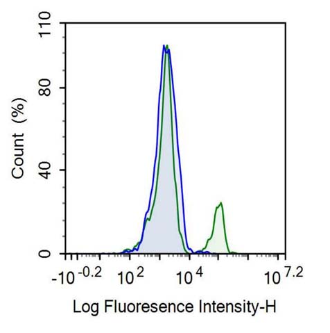 Recombinant Antibody to Cluster Of Differentiation 19 (CD19)