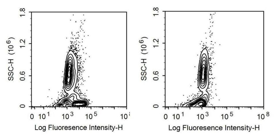 Recombinant Antibody to Interleukin 7 Receptor (IL7R)