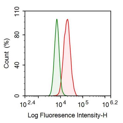 Recombinant Antibody to Tau Protein (MAPT)