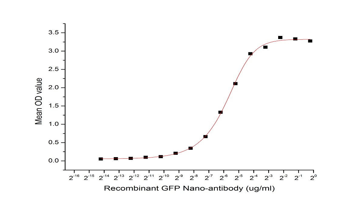 Recombinant Antibody to Green Fluorescent Protein (GFP)