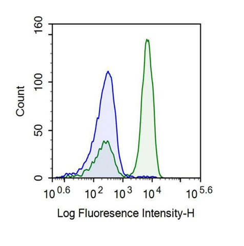 Recombinant Antibody to T-Cell Surface Glycoprotein CD3 Epsilon (CD3e)