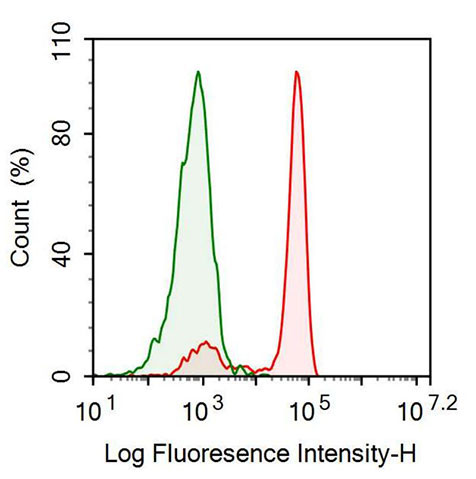 Recombinant Antibody to T-Cell Surface Glycoprotein CD3 Epsilon (CD3e)