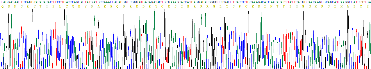 Recombinant Angiogenin (ANG)