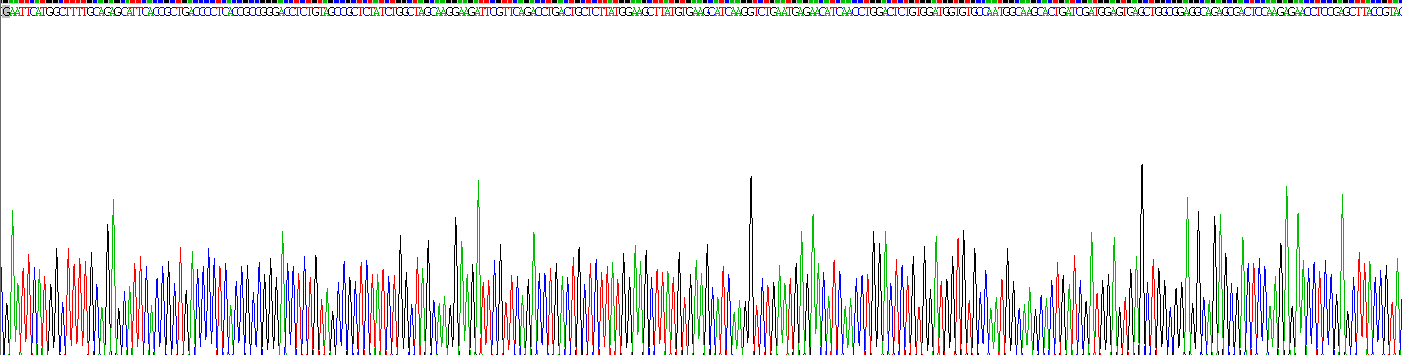 Recombinant Ciliary Neurotrophic Factor (CNTF)