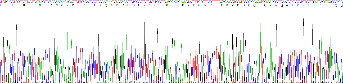 Recombinant Interferon Alpha (IFNa)