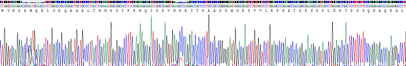 Recombinant Chemokine C-X3-C-Motif Ligand 1 (CX3CL1)