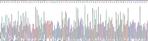 Recombinant Insulin Like Growth Factor 1 (IGF1)