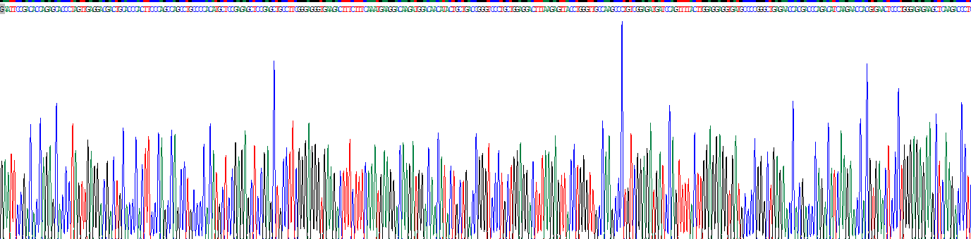 Recombinant Interleukin 10 (IL10)