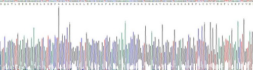 Recombinant Meningioma Expressed Antigen 5 (MGEA5)