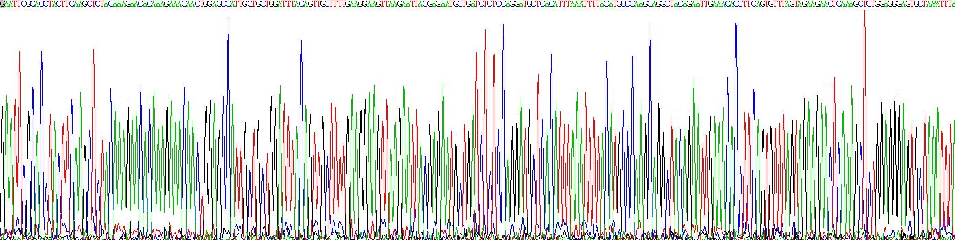 Recombinant Interleukin 2 (IL2)