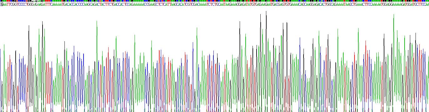 Recombinant Interleukin 6 (IL6)