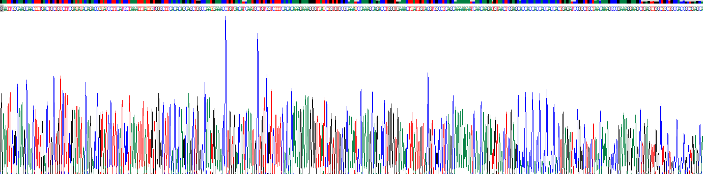 Recombinant Macrophage Inflammatory Protein 3 Alpha (MIP3a)
