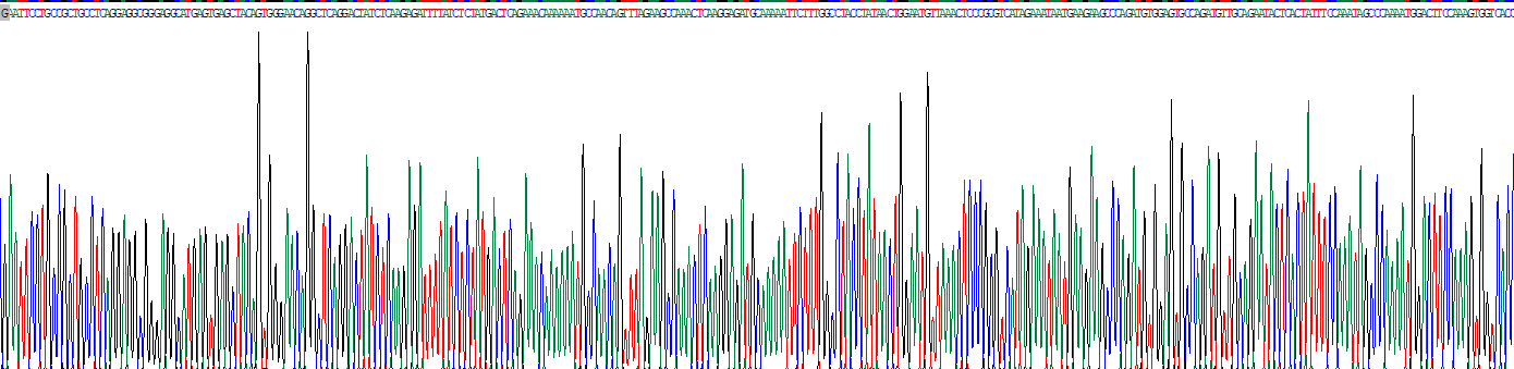 Recombinant Matrix Metalloproteinase 7 (MMP7)