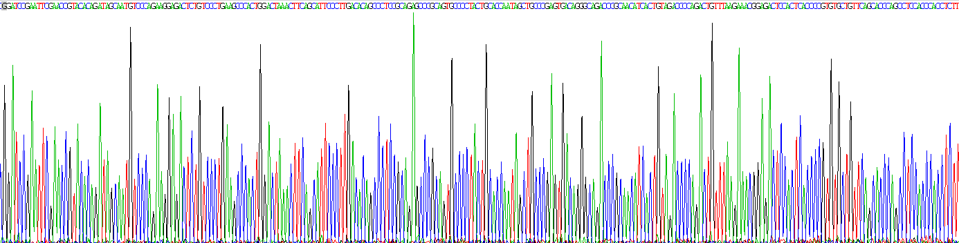 Recombinant Nerve Growth Factor (NGF)