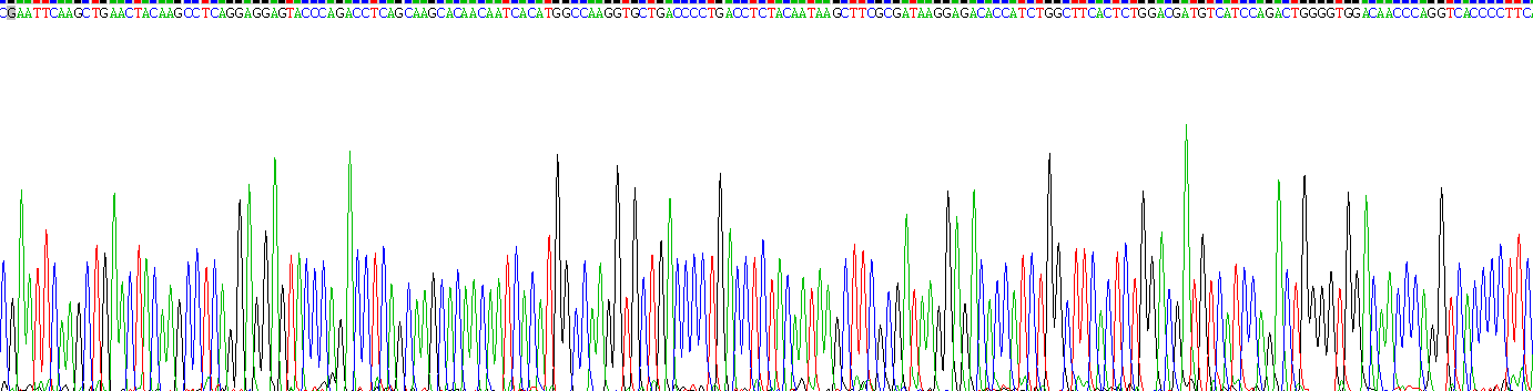 Recombinant Creatine Kinase, Muscle (CKM)