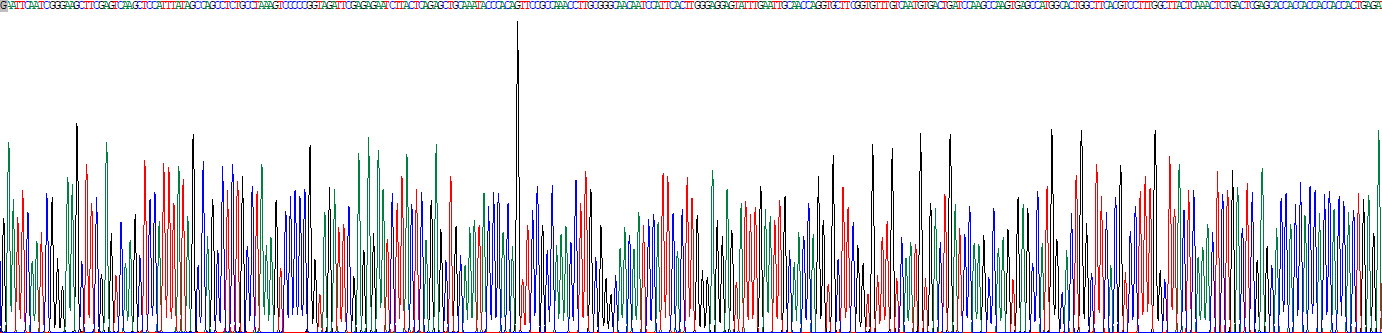 Recombinant Cluster Of Differentiation 40 Ligand (CD40L)