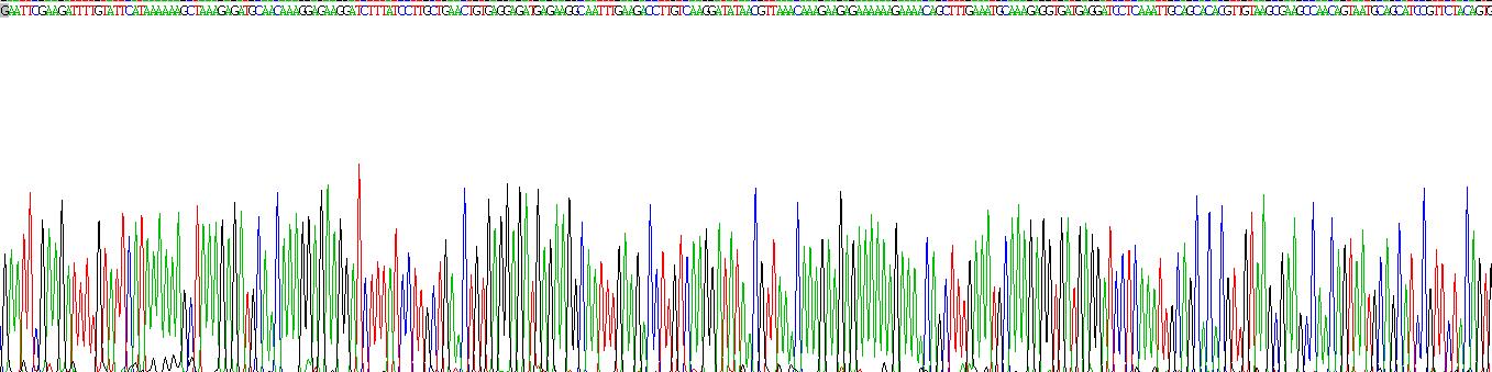Recombinant Cluster Of Differentiation 40 Ligand (CD40L)