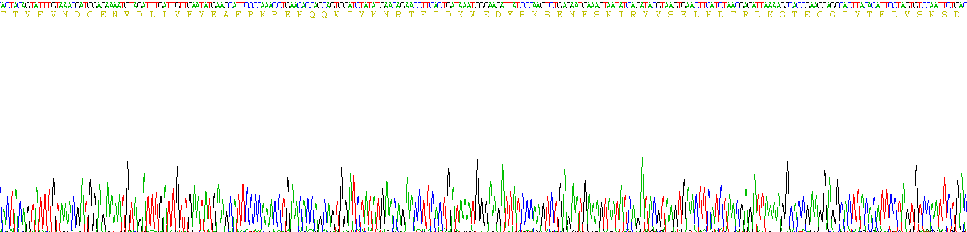 Recombinant Stem Cell Factor Receptor (SCFR)