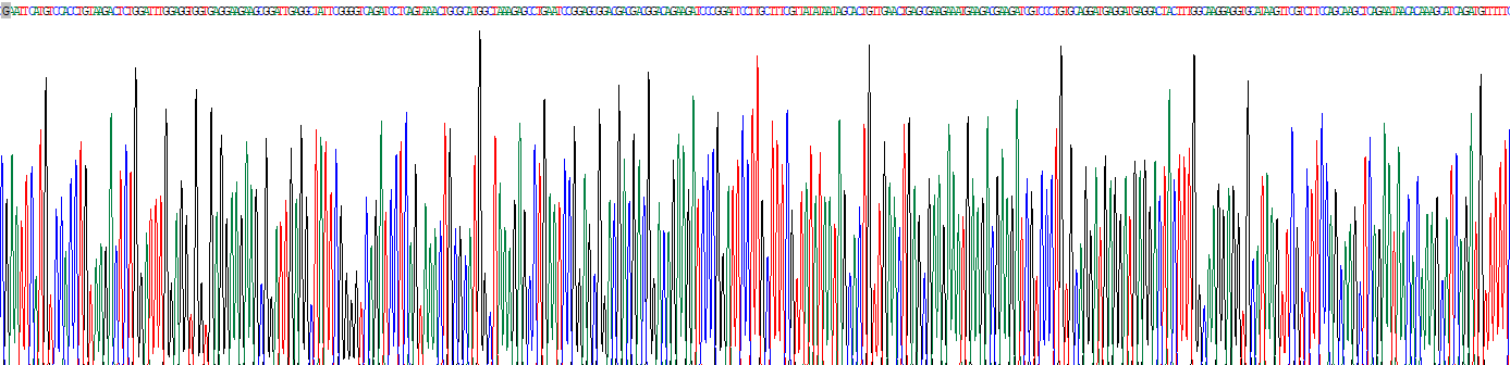 Recombinant Transforming Growth Factor Beta 1 (TGFb1)