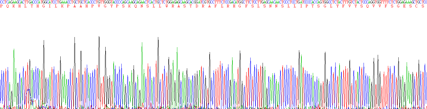 Recombinant Tumor Necrosis Factor Beta (TNFb)