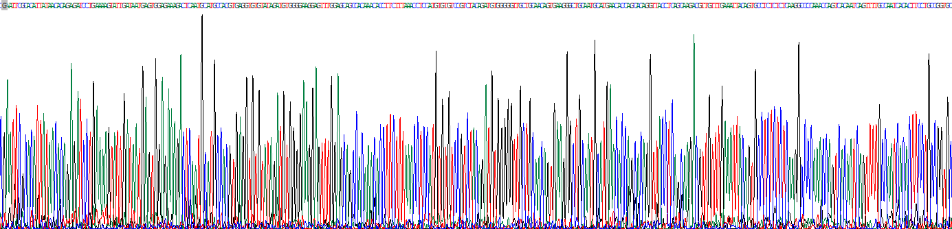 Recombinant Vascular Endothelial Growth Factor C (VEGFC)
