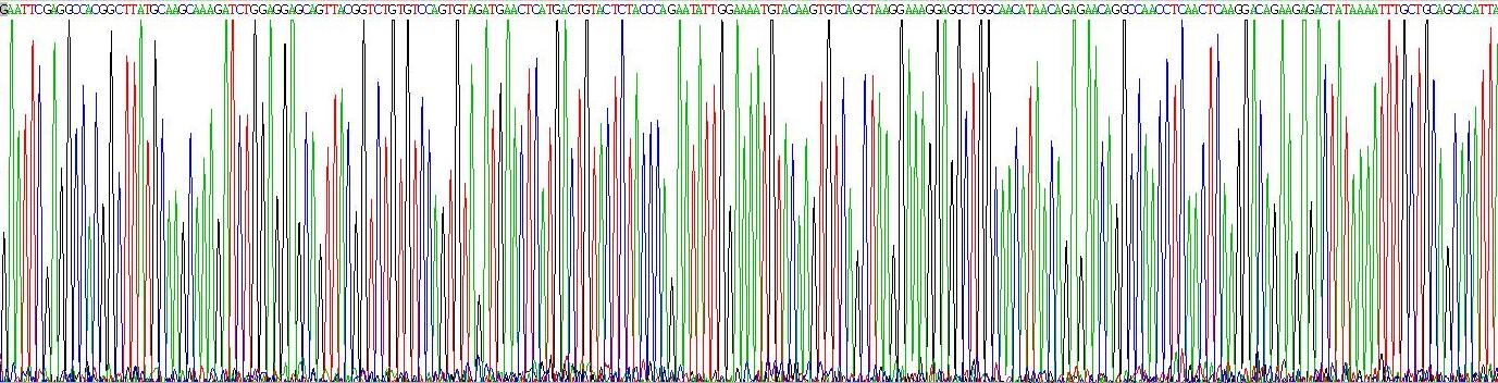Recombinant Vascular Endothelial Growth Factor C (VEGFC)