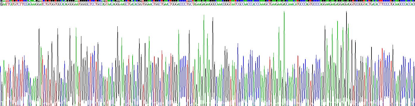 Recombinant Adiponectin Receptor 1 (ADIPOR1)