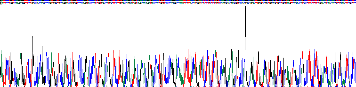 Recombinant Collagen Type IV Alpha 1 (COL4a1)