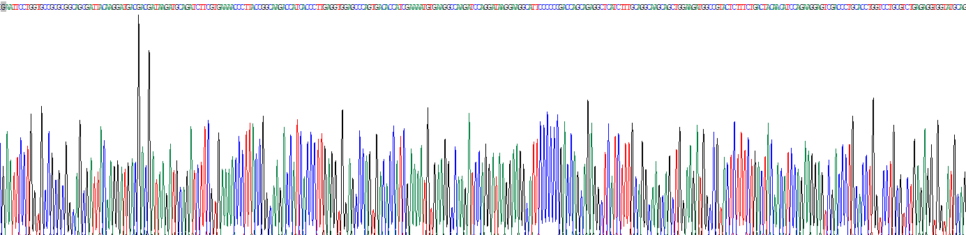 Recombinant Ubiquitin (Ub)