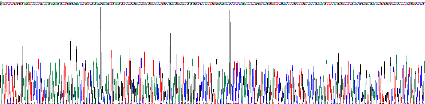 Recombinant Pepsinogen A (PGA)
