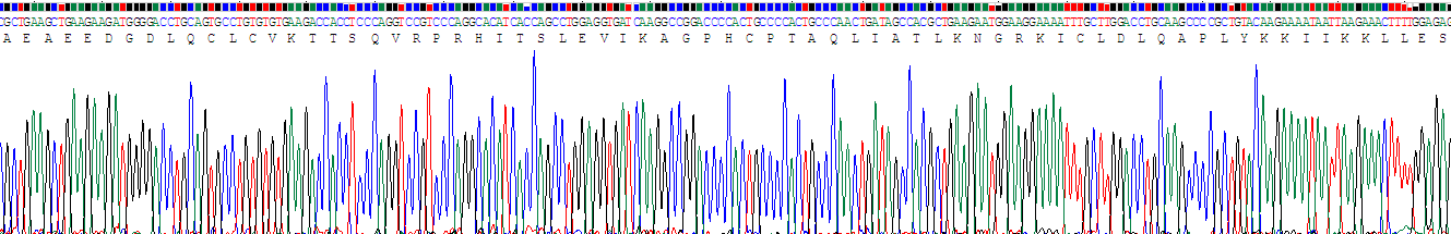 Recombinant Platelet Factor 4 (PF4)