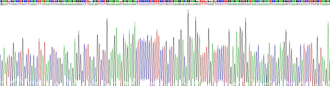 Recombinant Interferon Alpha 4 (IFNa4)