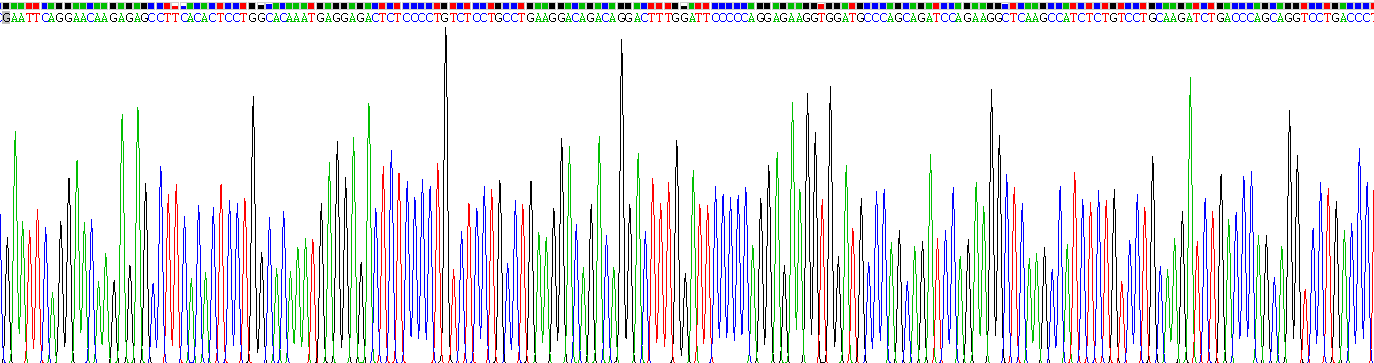 Recombinant Interferon Alpha 4 (IFNa4)