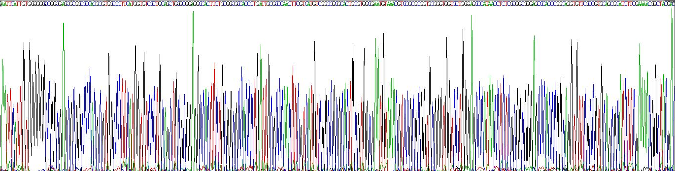 Recombinant Neutrophil Elastase (NE)
