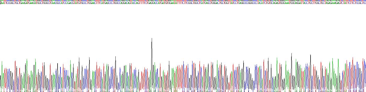 Recombinant Galactosidase Beta (GLb)