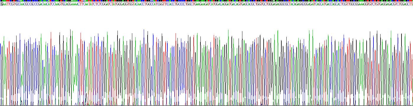 Recombinant Alpha-1-Microglobulin (a1M)