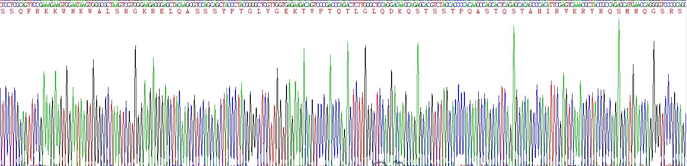 Recombinant Adrenomedullin (ADM)