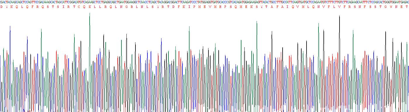 Recombinant Interferon Beta (IFNb)