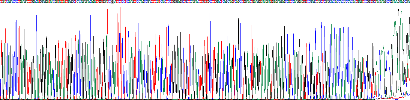Recombinant Free Fatty Acid Receptor 3 (FFAR3)