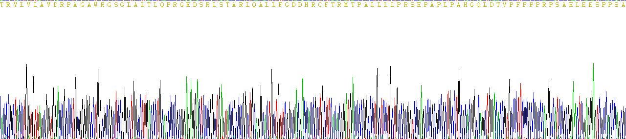 Recombinant Anti-Mullerian Hormone (AMH)