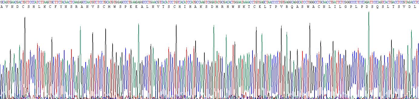 Recombinant Interleukin 2 Receptor Beta (IL2Rb)