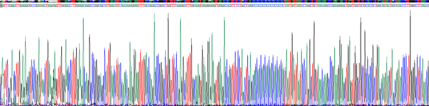 Recombinant Apolipoprotein C1 (APOC1)