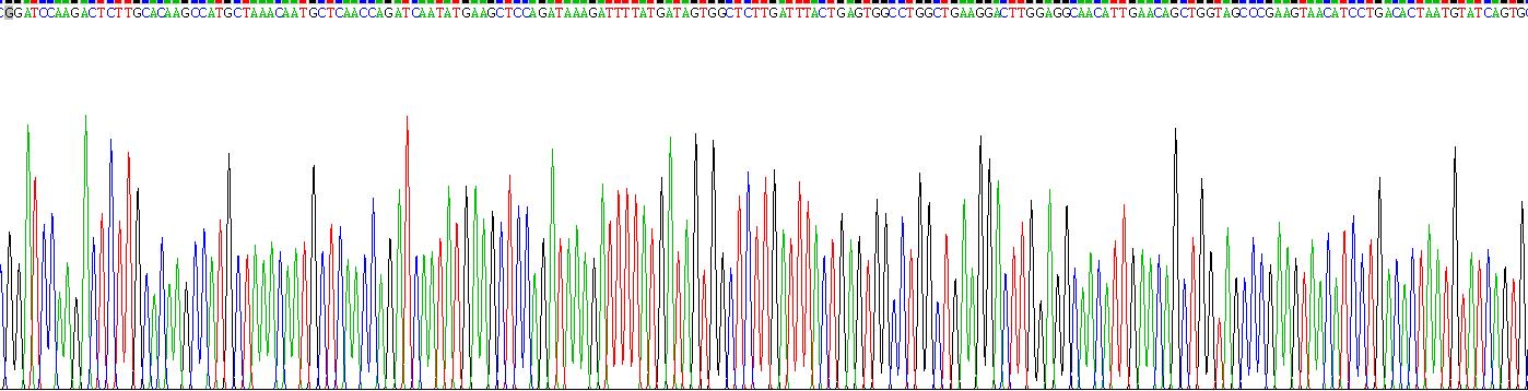 Recombinant Transportin 1 (TNPO1)