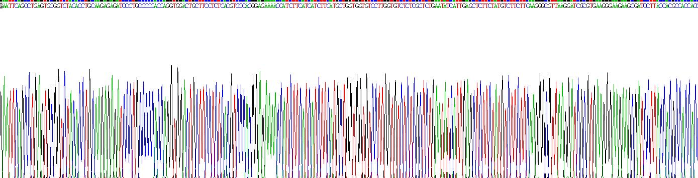 Recombinant Connexin 43 (CX43)